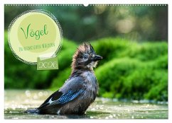 Vögel in heimischen Wäldern (Wandkalender 2026 DIN A2 quer), CALVENDO Monatskalender Vögel in heimischen Wäldern (Wandkalender 2026 DIN A2 quer), CALVENDO Monatskalender