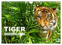 Cover Tiger: Gestreifte Jäger (Wandkalender 2026 DIN A4 quer), CALVENDO Monatskalender