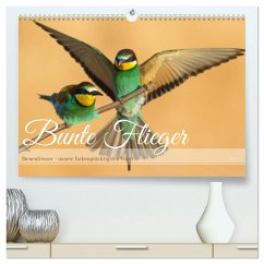 Cover Bunte Flieger (hochwertiger Premium Wandkalender 2026 DIN A2 quer), Kunstdruck in Hochglanz