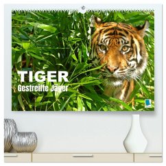 Cover Tiger: Gestreifte Jäger (hochwertiger Premium Wandkalender 2026 DIN A2 quer), Kunstdruck in Hochglanz