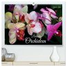 Beliebte Orchideen (hochwertiger... - Bild 1