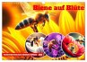 Biene auf Blüte - Faszinierende... - Bild 1
