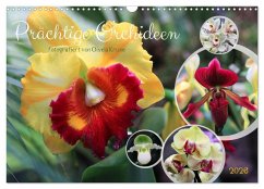 Prächtige Orchideen (Wandkalender 2026 DIN A3 quer), CALVENDO Monatskalender