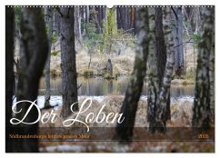 Der Loben. Im Reich der Moorgeister und Kreuzottern- Südbrandenburgs letztes großes Moor (Wandkalender 2026 DIN A2 quer), CALVENDO Monatskalender