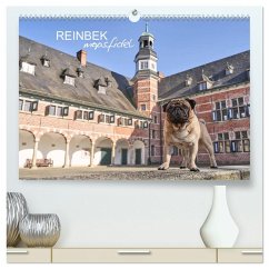 Reinbek mopsfidel (hochwertiger Premium Wandkalender 2026 DIN A2 quer), Kunstdruck in Hochglanz Reinbek mopsfidel (hochwertiger Premium Wandkalender 2026 DIN A2 quer), Kunstdruck in Hochglanz