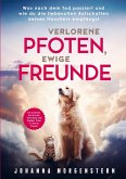 Verlorene Pfoten, ewige Freunde: Was nach dem Tod passiert und wie die du die liebevollen Botschaften deines Haustiers empfängst