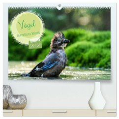 Vögel in heimischen Wäldern (hochwertiger Premium Wandkalender 2026 DIN A2 quer), Kunstdruck in Hochglanz Vögel in heimischen Wäldern (hochwertiger Premium Wandkalender 2026 DIN A2 quer), Kunstdruck in Hochglanz