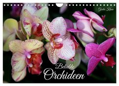 Cover Beliebte Orchideen (Wandkalender 2026 DIN A4 quer), CALVENDO Monatskalender