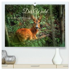 Cover Der Wald - Ort der Ruhe und Besinnung (hochwertiger Premium Wandkalender 2026 DIN A2 quer), Kunstdruck in Hochglanz