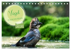 Vögel in heimischen Wäldern (Tischkalender 2026 DIN A5 quer), CALVENDO Monatskalender Vögel in heimischen Wäldern (Tischkalender 2026 DIN A5 quer), CALVENDO Monatskalender
