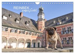 Reinbek mopsfidel (Wandkalender 2026 DIN A4 quer), CALVENDO Monatskalender