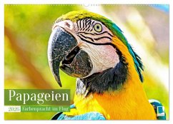Papageien: Farbenpracht im Flug (Wandkalender 2026 DIN A2 quer), CALVENDO Monatskalender Papageien: Farbenpracht im Flug (Wandkalender 2026 DIN A2 quer), CALVENDO Monatskalender