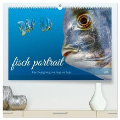 Cover fisch portrait (hochwertiger Premium Wandkalender 2026 DIN A2 quer), Kunstdruck in Hochglanz