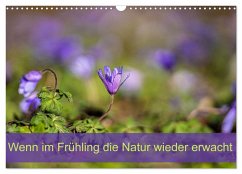 Cover Wenn im Frühling die Natur wieder erwacht (Wandkalender 2026 DIN A3 quer), CALVENDO Monatskalender