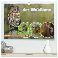 der Waldkauz - Strix Aluco (hochwertiger Premium Wandkalender 2026 DIN A2 quer), Kunstdruck in Hochglanz der Waldkauz - Strix Aluco (hochwertiger Premium Wandkalender 2026 DIN A2 quer), Kunstdruck in Hochglanz