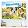Bauernhof-Freunde - Hunde und ihre... - Bild 1