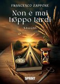 Non è mai troppo tardi (eBook, ePUB) Non è mai troppo tardi (eBook, ePUB)