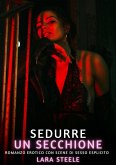 Sedurre un Secchione (eBook, ePUB) Sedurre un Secchione (eBook, ePUB)