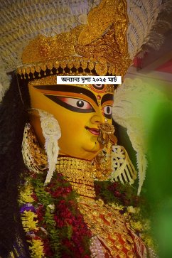 Cover অন্যান্য মতামত ২০২৫ মার্চ (eBook, ePUB)