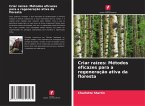 Criar raízes: Métodos eficazes para a regeneração ativa da floresta