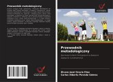 Przewodnik metodologiczny