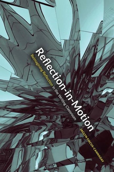 Reflection-In-Motion