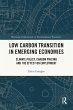 Low Carbon Transition in Emerging... - Bild 1