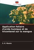 Application foliaire d'acide humique et de tricontanol sur la mangue