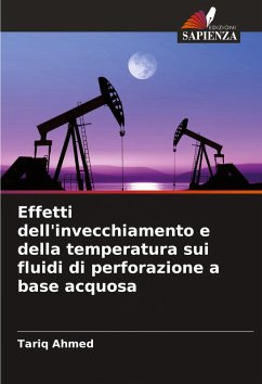 Cover Effetti dell'invecchiamento e della temperatura sui fluidi di perforazione a base acquosa