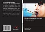 Opiekunowie przestrzeni