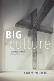 Big Culture Big Culture