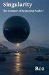 Singularity - Bild 1