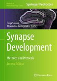 Synapse Development (eBook, PDF)