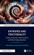 Entropies and Fractionality - Bild 1