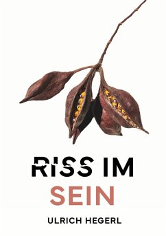 Cover Riss im Sein