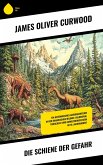 Die Schiene der Gefahr (eBook, ePUB) Die Schiene der Gefahr (eBook, ePUB)