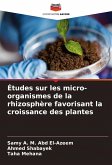 Études sur les micro-organismes de la rhizosphère favorisant la croissance des plantes Études sur les micro-organismes de la rhizosphère favorisant la croissance des plantes