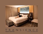 Danielle L. Goldstein: Transience Danielle L. Goldstein: Transience