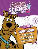 Ruh-roh! The Mystery of Chemical Reactions! Ruh-roh! The Mystery of Chemical Reactions!