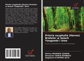 Prioria oxyphylla (Harms) Breteler w lasach Yangambi i Uma Prioria oxyphylla (Harms) Breteler w lasach Yangambi i Uma