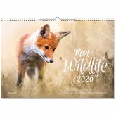 Real Wildlife 2026 Real Wildlife 2026