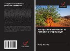Zarz¿dzanie termitami w rolnictwie tropikalnym Zarz¿dzanie termitami w rolnictwie tropikalnym