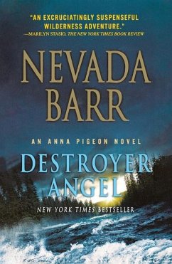 Cover Destroyer Angel