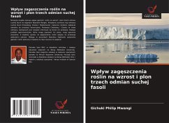 Cover Wp¿yw zag¿szczenia ro¿lin na wzrost i plon trzech odmian suchej fasoli