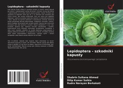 Cover Lepidoptera - szkodniki kapusty