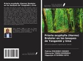 Prioria oxyphylla (Harms) Breteler en los bosques de Yangambi y Uma Prioria oxyphylla (Harms) Breteler en los bosques de Yangambi y Uma