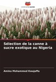 Sélection de la canne à sucre exotique au Nigeria