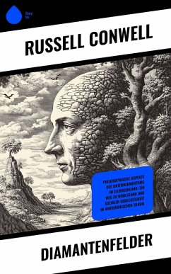 Cover Diamantenfelder (eBook, ePUB)