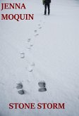Stone Storm (eBook, ePUB)