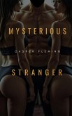 Mysterious Stranger (eBook, ePUB) Mysterious Stranger (eBook, ePUB)
